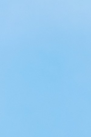 LOS ANGELES, CA - JULY 30: Cesar Millan attends the UltiMutt Los Angeles Premiere Pawty for New National Geographic Series, "Cesar Millan: Better Human Better Dog" held at the Westfield Century City Mall on July 30, 2021 in Los Angeles, California. (Photo by JB Lacroix/Getty Images)