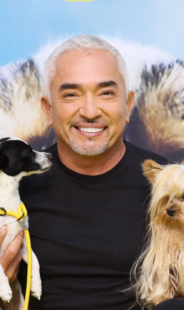 LOS ANGELES, CA - JULY 30: Cesar Millan attends the UltiMutt Los Angeles Premiere Pawty for New National Geographic Series, "Cesar Millan: Better Human Better Dog" held at the Westfield Century City Mall on July 30, 2021 in Los Angeles, California. (Photo by JB Lacroix/Getty Images)