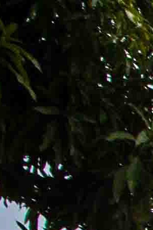 Death Toll Over 1,200 After 7.2 Quake In Haiti