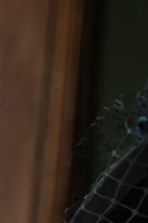 Kristen Stewart in 'Spencer' by Pablo Larraín