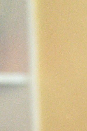 Selenis Leyva in Disney+ series Diary of a Future President.