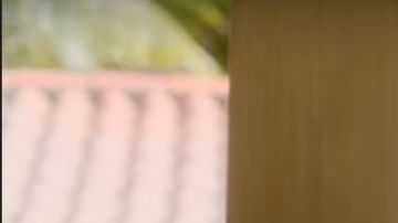 Roselyn Sanchez in Fantasy Island