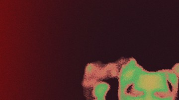 Modelos: Photo by Victor VIRGILE/Gamma-Rapho via Getty Images
Jlo: Photo by Emma McIntyre/Getty Images for Global Citizen VAX LIVE
Ozuna: Photo by Tasos Katopodis/Getty Images for Universal Pictures