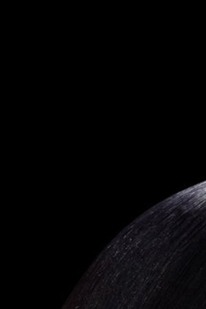 Courtesy of the artist.