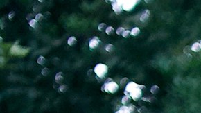 Picture by Jenna Johns