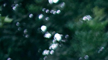 Picture by Jenna Johns