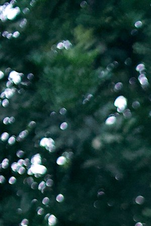 Picture by Jenna Johns