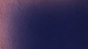 Photo by Lewis Taveras | Art by Stephany Torres for Remezcla