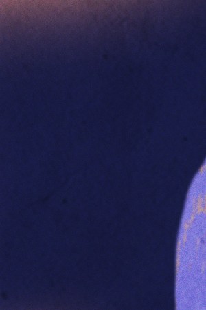 Photo by Lewis Taveras | Art by Stephany Torres for Remezcla