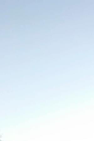 Courtesy of Instagram: Fernanda Cortés.