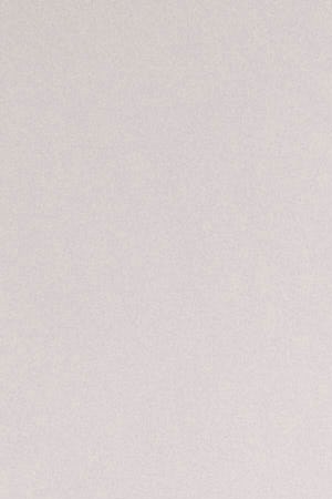 Photo by Jackie Gallardo