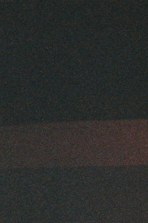 Photo by Nicole Bordali