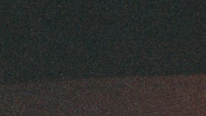 Photo by Nicole Bordali