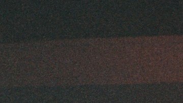 Photo by Nicole Bordali