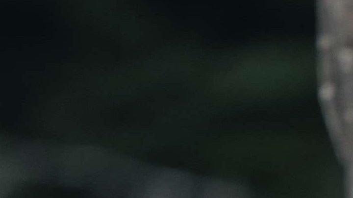Christian Camargo in Apple TV+'s See.