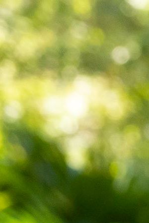 COBRA KAI (L to R) XOLO MARIDUEÑA as MIGUEL DIAZ and WILLIAM ZABKA as JOHNNY LAWRENCE in episode 308 of COBRA KAI