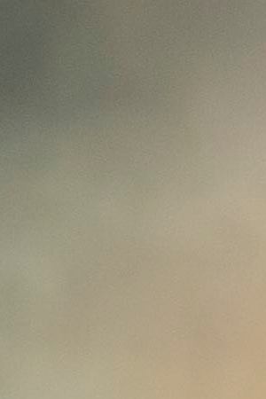 Audioriver Festival 2014