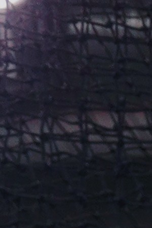 Processed with VSCO with a6 preset