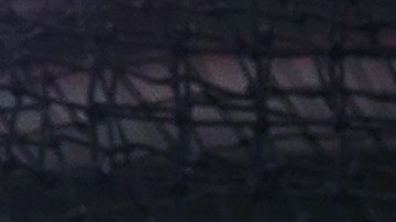 Processed with VSCO with a6 preset