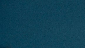 Daisy -Conform.00_01_41_16.Still004