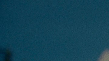 Daisy -Conform.00_01_41_16.Still004