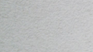 Director Dominga Sotomayor