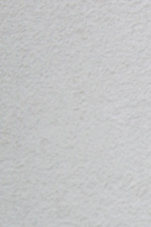 Director Dominga Sotomayor