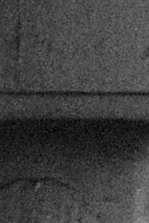 Photo by @frankiejazz (José Raúl Vergara).