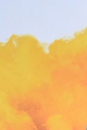 Natalia Diamante Bryant arrives for the world premiere of "F9: The Fast Saga" at the TCL Chinese theatre in Hollywood on June 18, 2021. (Photo by Chris Delmas / AFP) (Photo by CHRIS DELMAS/AFP via Getty Images)