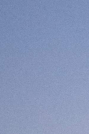 Photo by PEDRO PARDO / AFP.