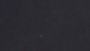 Photo by Rich Fury/Getty Images.