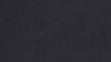 Photo by Rich Fury/Getty Images.