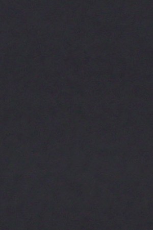 Photo by Rich Fury/Getty Images.