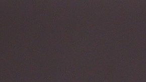 Photo by Ronald Martinez/Getty Images.