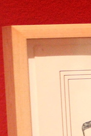 CHICAGO - JULY 09:  A visitor views "Who's the Illegal Alien Pilgrim?" a drawing by Yolanda Lopez in the National Museum of Mexican Art July 9, 2008 in Chicago, Illinois. The piece is part of the exhibit called A Declaration of Immigration which features the works of over 70 artists depicting the experiences and viewpoints of the U.S. immigrant communities. The show is scheduled to run through October 2, 2008.  (Photo by Scott Olson/Getty Images)