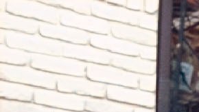 Natalie Morales in Language Lessons.