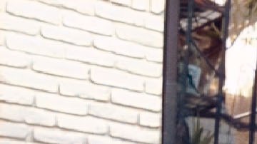 Natalie Morales in Language Lessons.