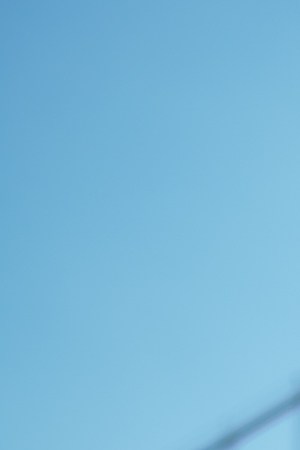 Photo by Mario Dávila