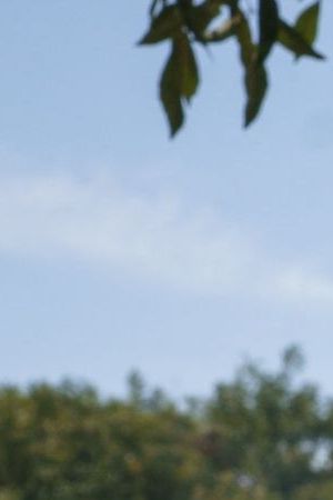 Pastor Marco Antonio Muniz cooks chicken for Haitian migrants in the Parque Ecologico Braulio Fernandez in Ciudad Acuna, Coahuila state, Mexico on September 22, 2021. - Mexican President Andres Manuel Lopez Obrador appealed to the United States on September 22 to take urgent action to tackle the migrant crisis reverberating across the Americas. Tens of thousands of migrants, many of them Haitians previously living in South America, have arrived in recent weeks in Mexico hoping to enter the United States. (Photo by PAUL RATJE / AFP)