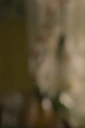 On My Block Season 4