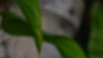 Courtesy of Facebook.