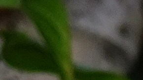 Courtesy of Facebook.