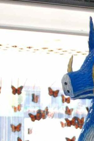 Craft in America Piñata Exhibit