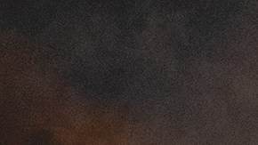 Photo by Leo Arguello.