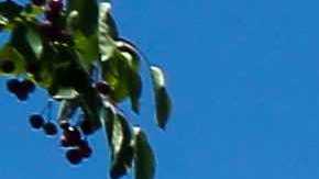 The bullseye logo is seen on the outside of a Target store