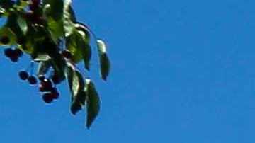 The bullseye logo is seen on the outside of a Target store