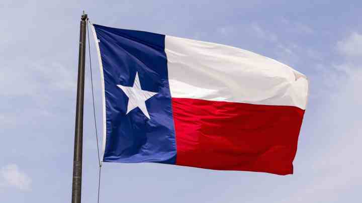 Texas Flag