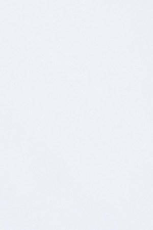 Photo Credit: Francisco Javier Conejero Manzano / EyeEm