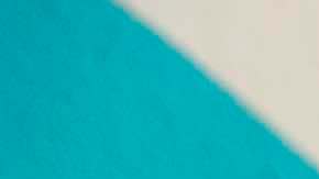 Photo by Maria Mejia.