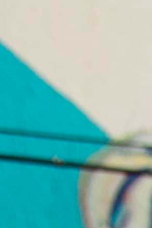 Photo by Maria Mejia.